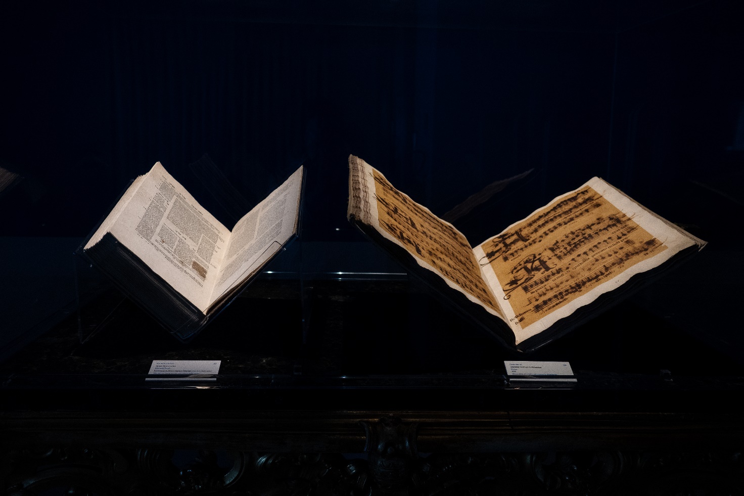 JR Brings a Flood to the Vatican Library: The AQVA Exhibition Between Art and Nature