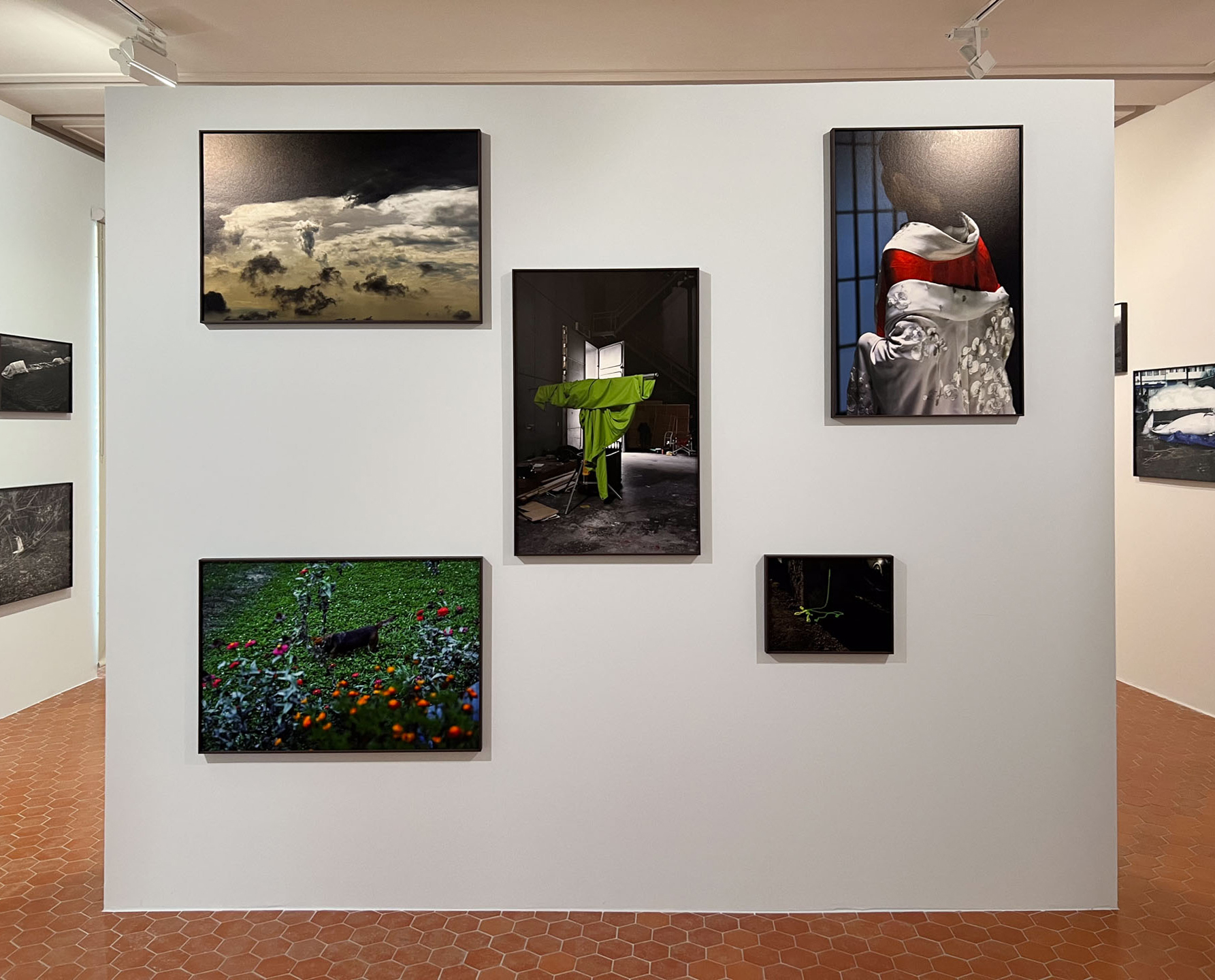 Les Rencontres de la photographie Arles Mostra di Fotografia di Park Chan-Wook